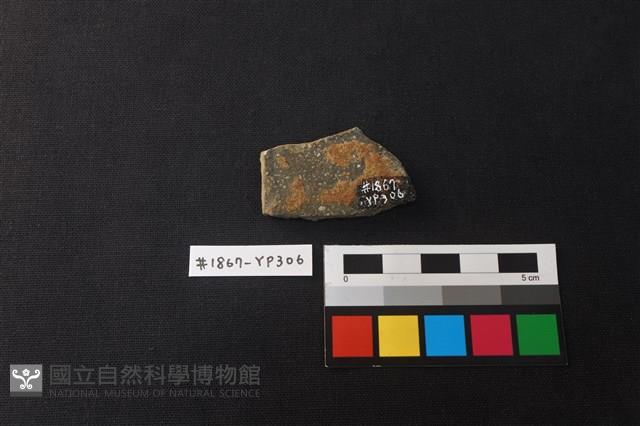 陶片藏品圖，第2張