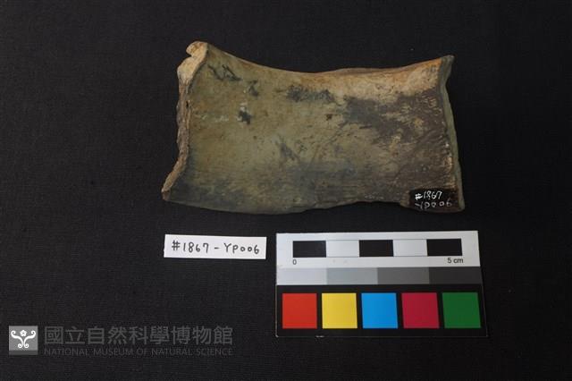 陶片藏品圖，第2張
