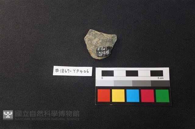 陶片藏品圖，第2張