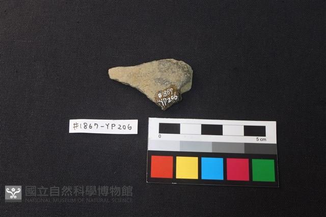 陶片藏品圖，第2張