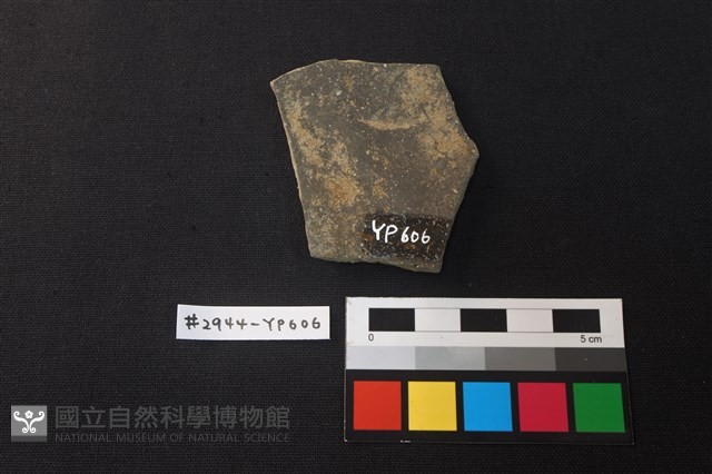 陶片藏品圖，第2張