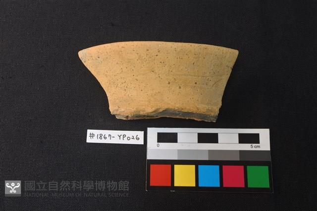 陶片藏品圖，第2張