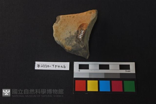 陶片藏品圖，第2張