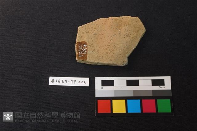 陶片藏品圖，第2張