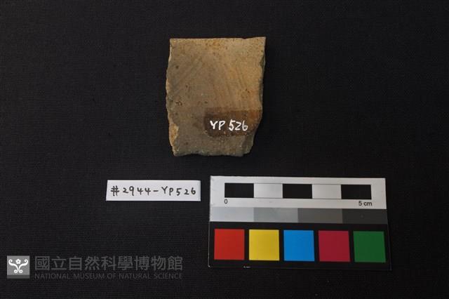 陶片藏品圖，第2張