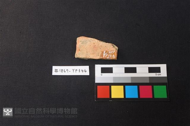 陶片藏品圖，第2張