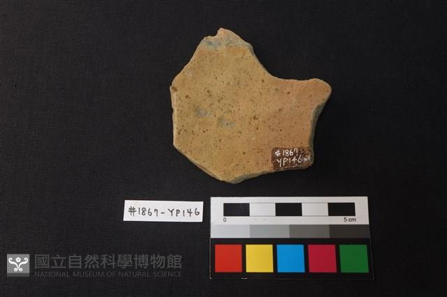 陶片藏品圖，第2張