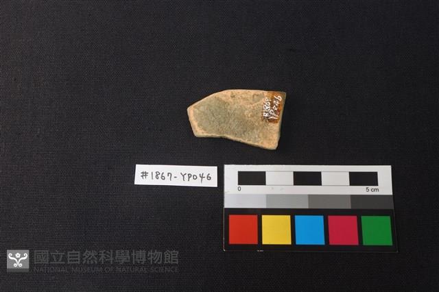 陶片藏品圖，第2張