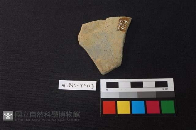 陶片藏品圖，第2張