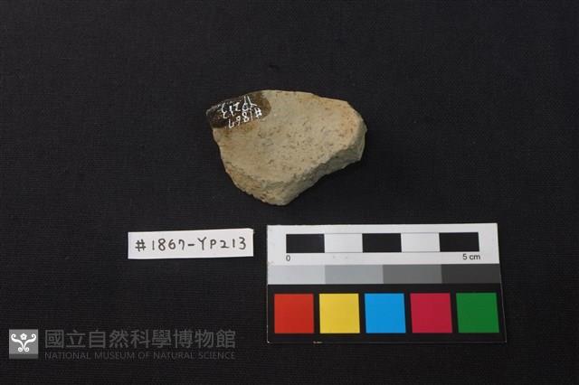 陶片藏品圖，第2張