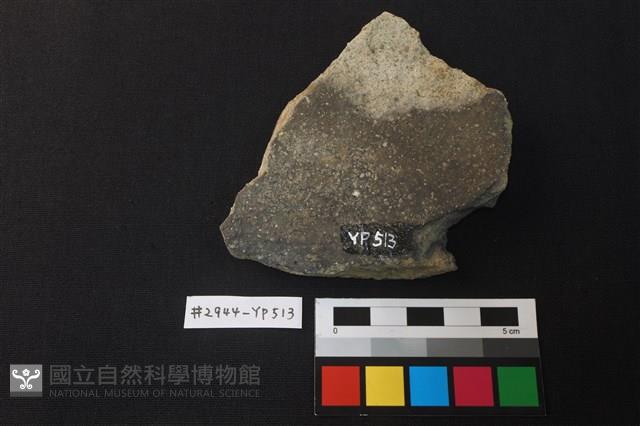 陶片藏品圖，第2張