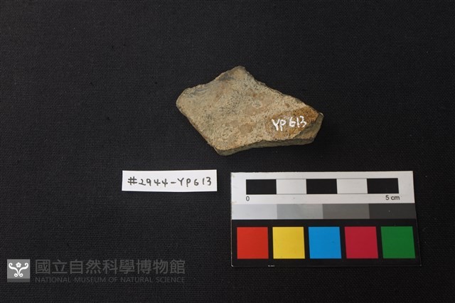 陶片藏品圖，第2張