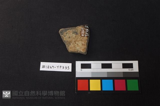 陶片藏品圖，第2張
