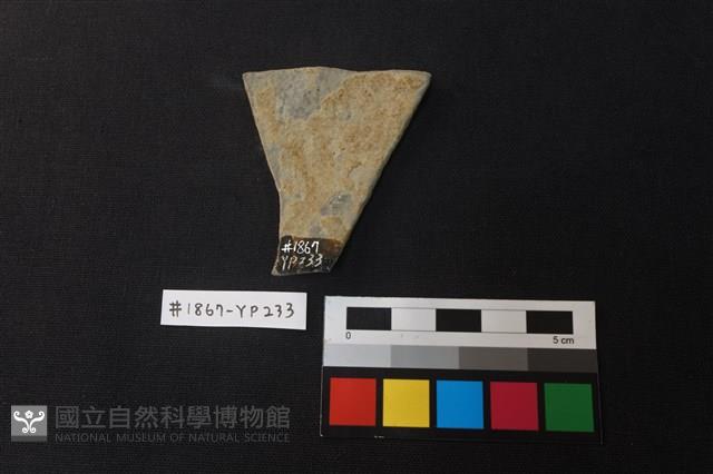 陶片藏品圖，第2張