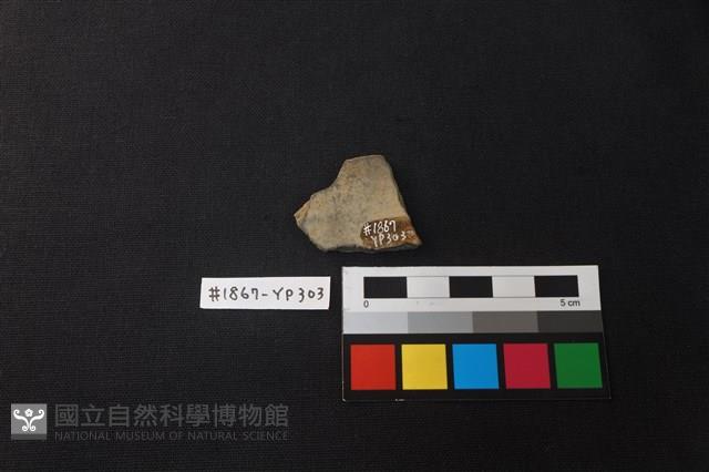 陶片藏品圖，第2張