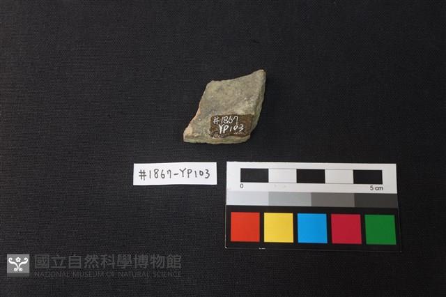 陶片藏品圖，第2張