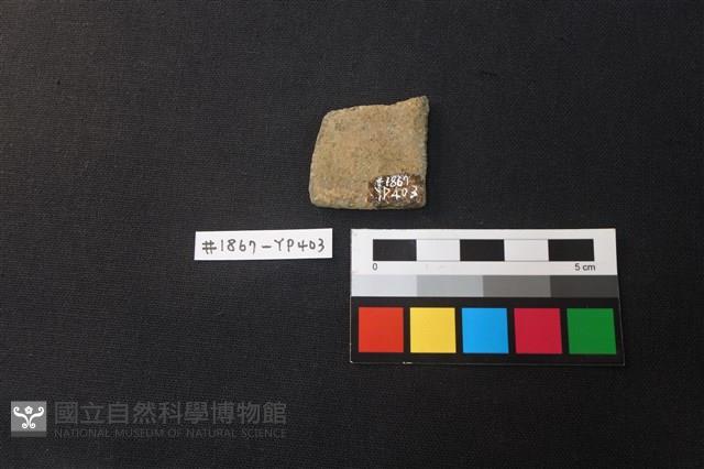 陶片藏品圖，第2張