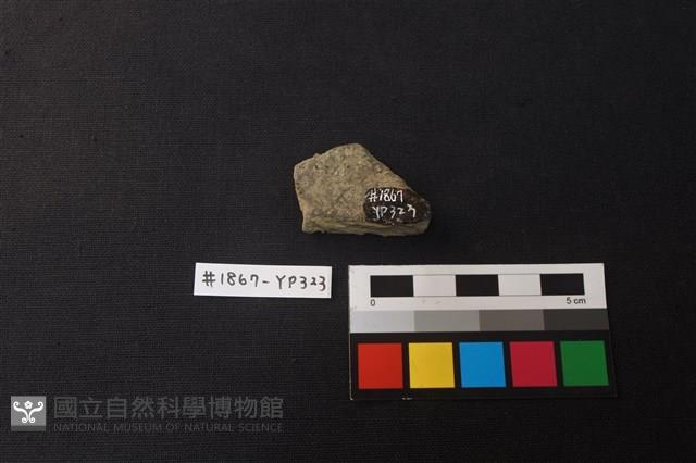 陶片藏品圖，第2張
