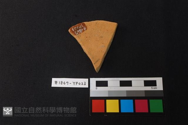 陶片藏品圖，第2張