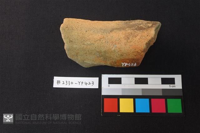 陶片藏品圖，第2張