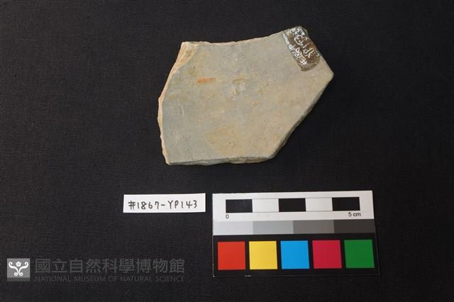 陶片藏品圖，第2張