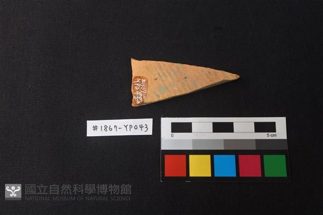 陶片藏品圖，第2張