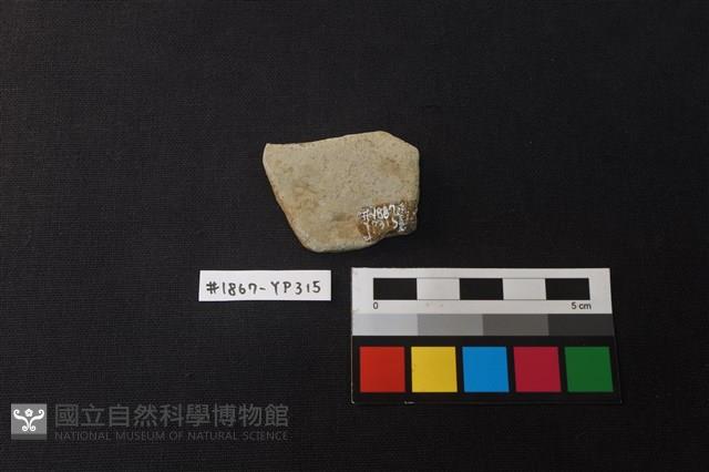陶片藏品圖，第2張