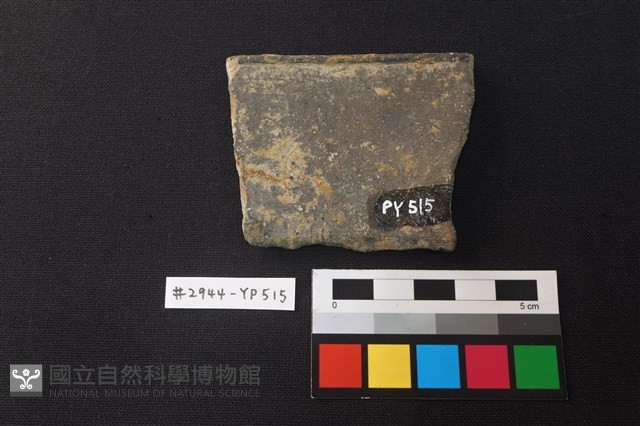 陶片藏品圖，第2張