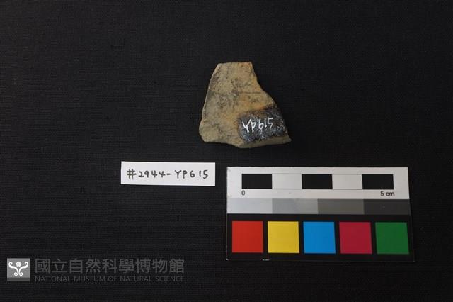 陶片藏品圖，第2張