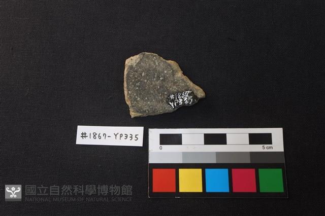 陶片藏品圖，第2張