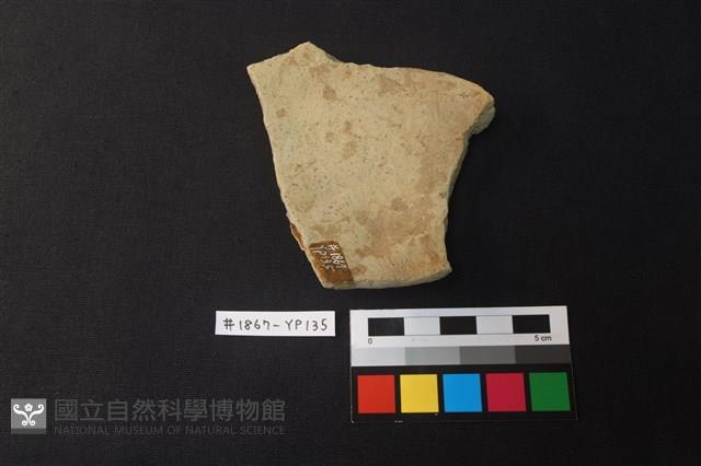 陶片藏品圖，第2張
