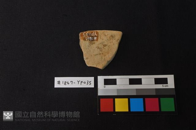 陶片藏品圖，第2張