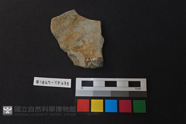陶片藏品圖，第2張