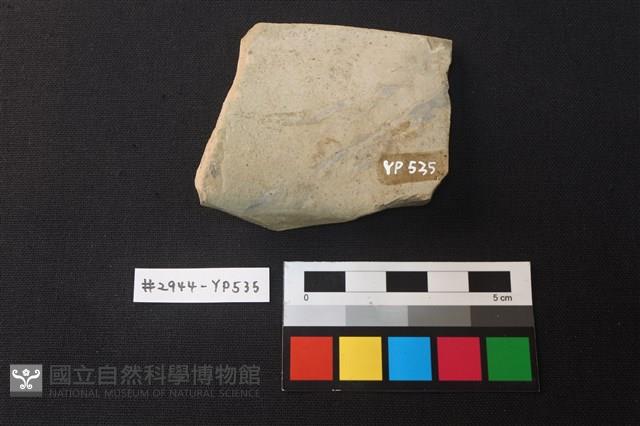 陶片藏品圖，第2張