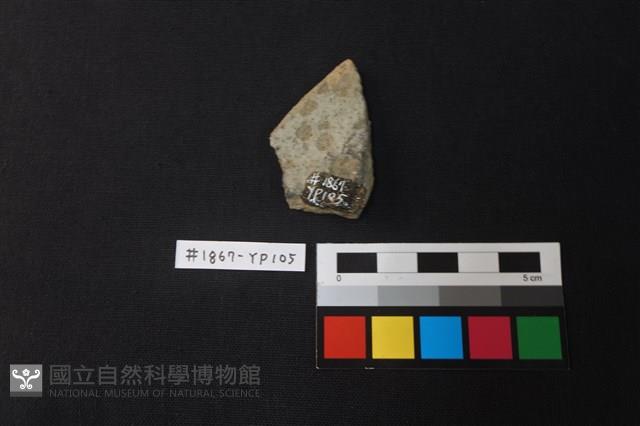 陶片藏品圖，第2張