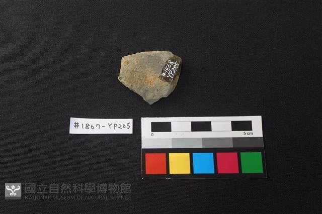 陶片藏品圖，第2張