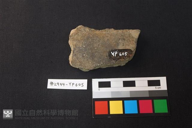 陶片藏品圖，第2張