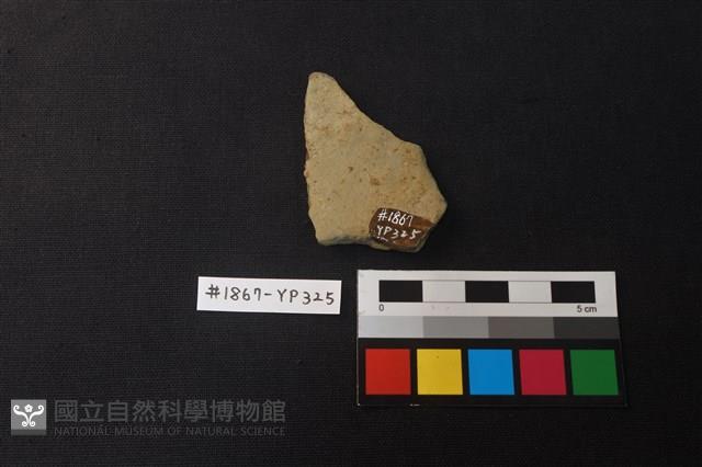 陶片藏品圖，第2張