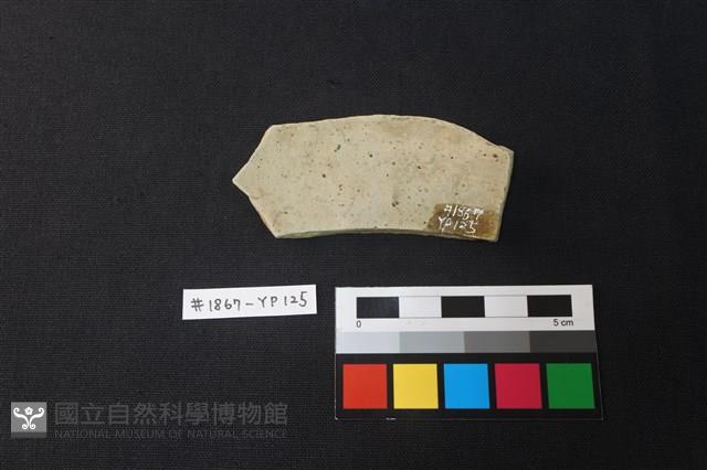 陶片藏品圖，第2張