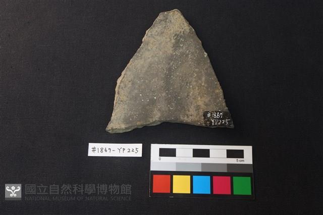 陶片藏品圖，第2張