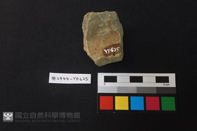 陶片藏品圖，第2張