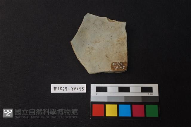 陶片藏品圖，第2張