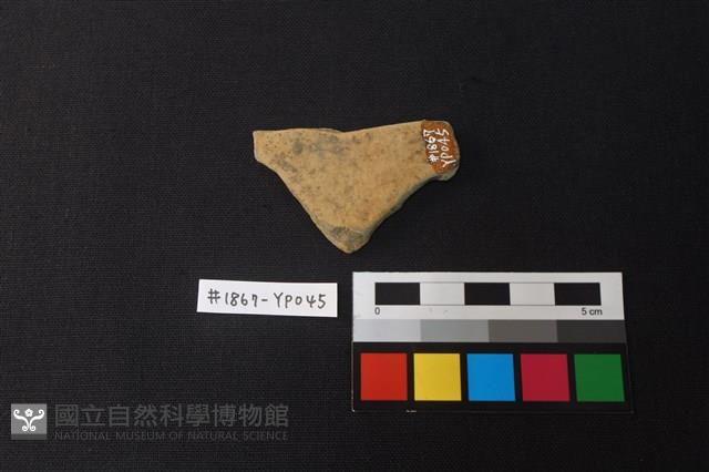 陶片藏品圖，第2張