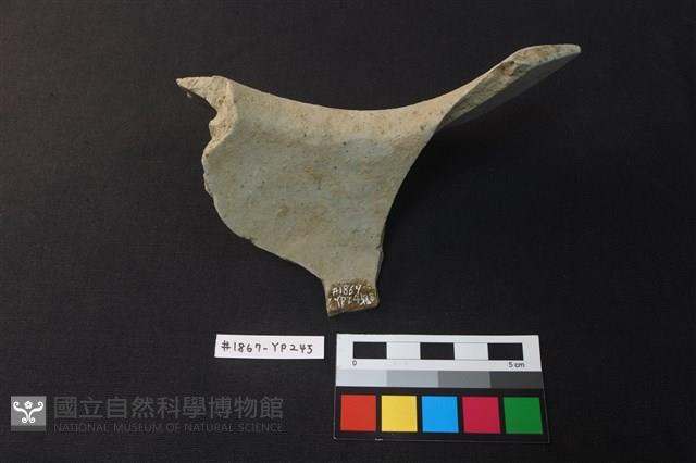 陶片藏品圖，第2張