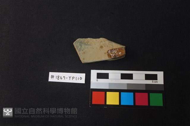 陶片藏品圖，第2張