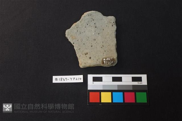 陶片藏品圖，第2張