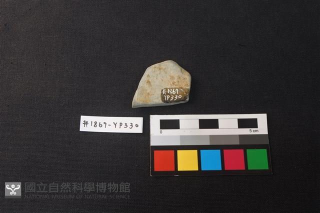 陶片藏品圖，第2張