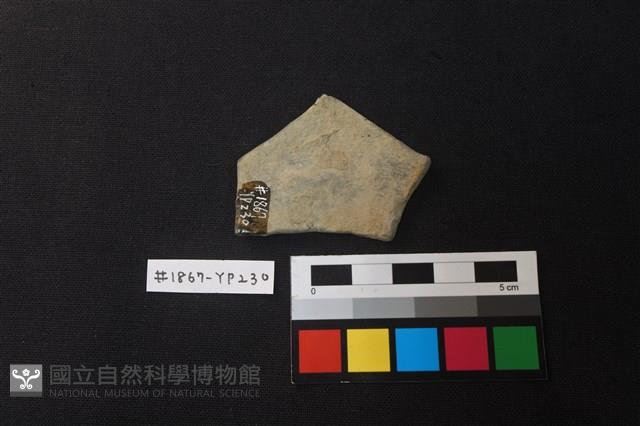 陶片藏品圖，第2張