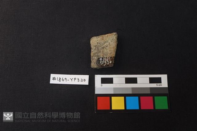 陶片藏品圖，第2張