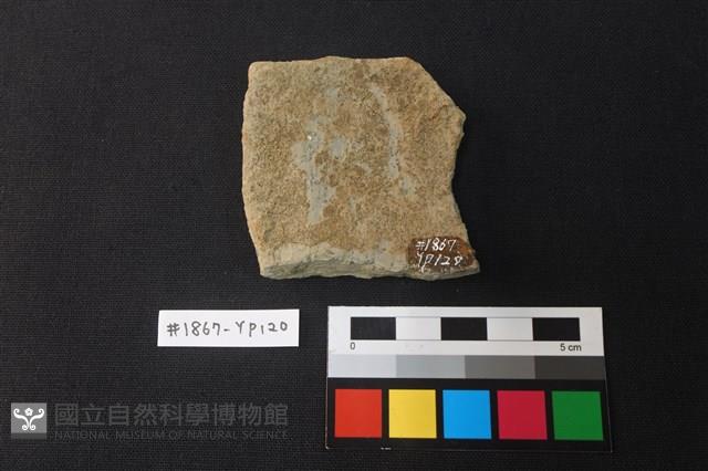 陶片藏品圖，第2張